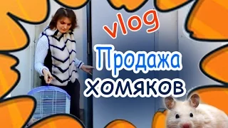 Vlog! Продажа хомяков. Покупки для наших хомок.