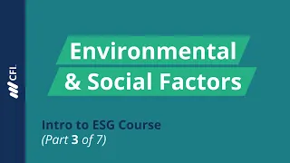 Environmental and Social Factors | Intro to ESG Course (Part 3 of 7)