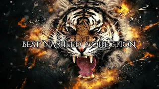 Best Nasheed Collection 🕋 - English translation (Reuploaded) | 8 Nasheeds | أفضل مجموعة نشيد