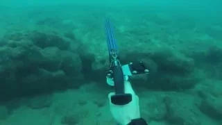 spearfishing in israel part 1 best of the best