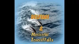 Caravan Life Nro 86 Delfiini & Meriretki Teneriffalla 2016