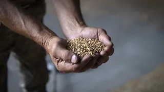 Ukrainekrieg: Neue Wege für den Getreideexport