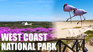 West Coast National Park (South Africa)