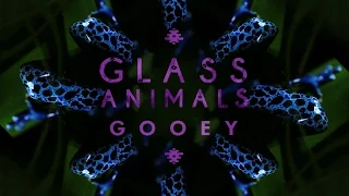 Glass Animals - "Gooey" (Live Jungle Slang) | Audio