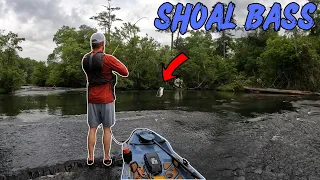 Pre Fishing For a $7,000 Shoal Bass Tournament!