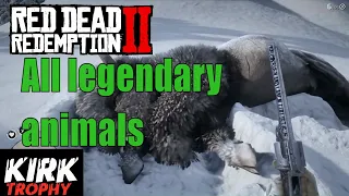 Red Dead Redemption 2 -  Dove trovare gli animali leggendari.