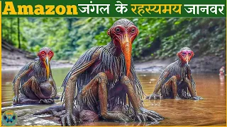 अमेजन जंगल के रहस्यमय जानवरMysterious animals of the Amazon jungleamazonamazon rainforest.