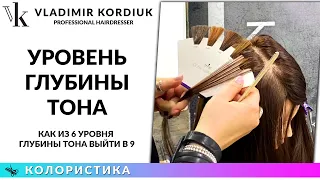 Как из 6 уровня глубины тона выйти в 9 | Колористика волос | Окрашивание волос обучение