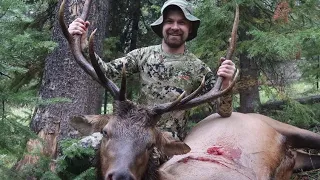 2021 solo diy otc Colorado archery elk opening day success!