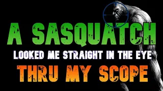 A SASQUATCH LOOKED ME STRAIGHT IN THE EYE THRU MY SCOPE! Sasquatch Encounter Reports From BC