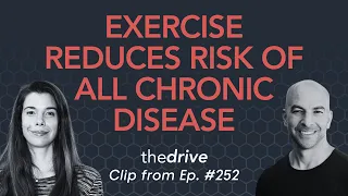 Exercise reduces the risk of all chronic diseases | Rhonda Patrick & Peter Attia
