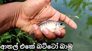 Hook Fishing in Sri Lanka | Funny Fishing | Sri Lanka Fish Catching