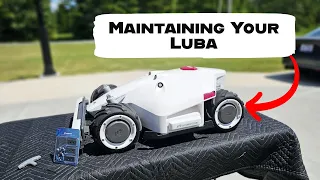 Mammotion Luba Robotic Lawn Mower Maintenance