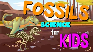 What are Fossils | Science for Kids