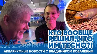 Аквариумные новости с Владимиром Ковалевым (05.04.2024). Кто решил, что им тесно?