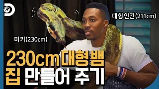 NBA 탑 스타를 위한 💰초호화💰 뱀 집! 그 집이 내 집이었어야해♪ [아쿠아 가이즈]