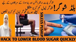 Hack To Lower Blood Sugar(Even While Sitting) 2024-Soleus Pushup /Listen Your Body