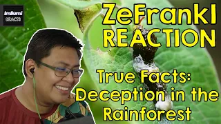 True Facts: Deception In The Rainforest | zefrank1 | ImBumi Reaction