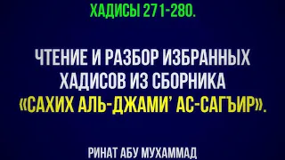 28. «Сахих аль-Джами’ ас-Сагъир». Хадисы 271-280. || Ринат Абу Мухаммад