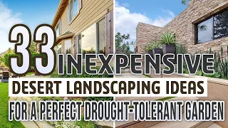 33 Inexpensive Desert Landscaping Ideas For a Perfect Drought-Tolerant Garden