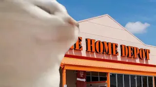 Cat vibing to Home Depot song