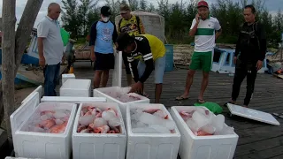 Pesta strike kapmer, mancing bersama tim DL-FM jgeerrrrr