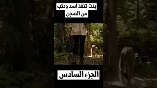 بنت تنقذ اسد وذئب من السجن الجزء السادس  the wolf and the lion