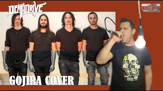 BandsThatMadeUs - Gojira cover