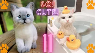 So Cute Cats ♥ Best Funny Cat Videos 2021#11