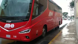 Movimiento en el ADO centro histórico (parte 2) en Mérida Yucatán, México 2022 🇲🇽