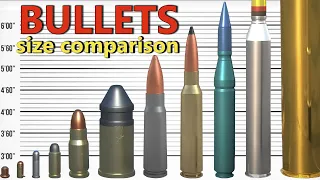 Bullets and Shells - Size Comparison | From the smallest bullet to the largest projectile in history