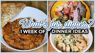 2 ONE-POT MEALS, 1 SLOW COOKER MEAL | WHAT'S FOR DINNER? #290 | 7 Real-Life Family Meal Ideas