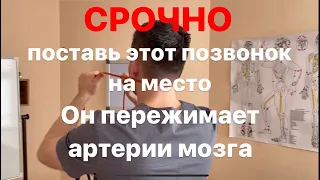 Никогда не делай этой ошибки. Срочно поставь все свои позвонки на место прямо сейчас.