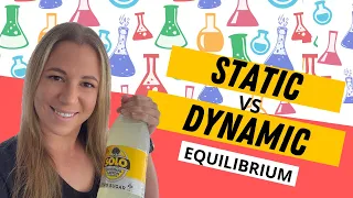 Static equilibrium vs dynamic equilibrium (video)