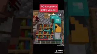 POV your a baby villager (credit seawattgaming)