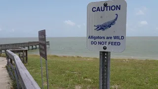 Plans to expand Aransas National Wildlife Refuge