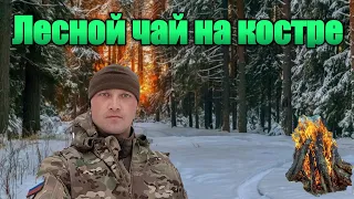 ЛЕСНОЙ ЧАЙ НА КОСТРЕ | ПОХОД В ЛЕС НА ЧАЕПИТИЕ.