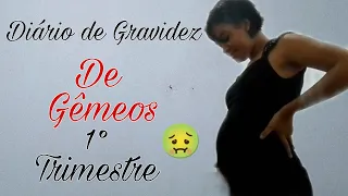 Diário de Gravidez de Gêmeos 1° Trimestre