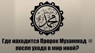 Где находится Пророк Мухаммад ﷺ после ухода в мир иной?