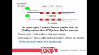 DNA Analyst Training : Amplification