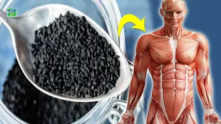 What Happens If You Take A Teaspoon Of Black Seeds Everyday [With Subtitles]