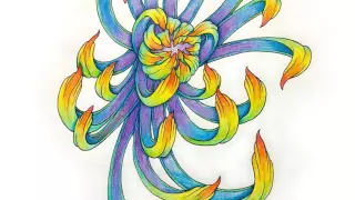 Timelapse video flower drawing