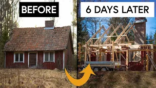 TIMELAPSE - 14 Days in 8 minutes | Restoring Tiny Cabin in the Woods