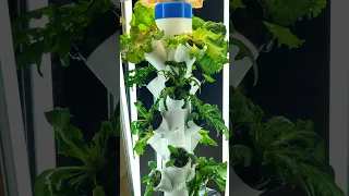 3D Printed Hydroponic Tower Harvest