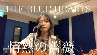 THE BLUE HEARTS「情熱の薔薇」cover▷▶︎広瀬咲楽