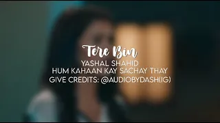 Tere Bin - Slowed and Reverb | Hum Kahaan Kay Sachay Thay OST | AudioByDash