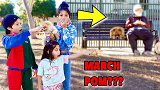 Did We Finally Find Our MISSING Puppy March Pom In This DOG PARK?!! ** SHOCKING** | Familia Diamond