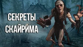 Skyrim Интересные моменты и Секреты игры