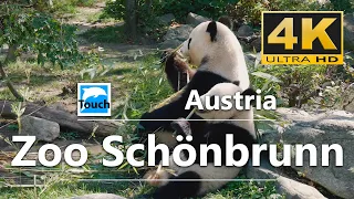 Zoo Schönbrunn, Vienna, Austria ► Travel Video, 4K ► Travel in Austria #TouchOfWorld