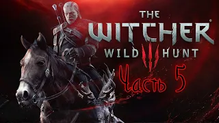 Прохождение Ведьмак 3: Дикая Охота (The Witcher 3: Wild Hunt) — Часть 5: Новиград